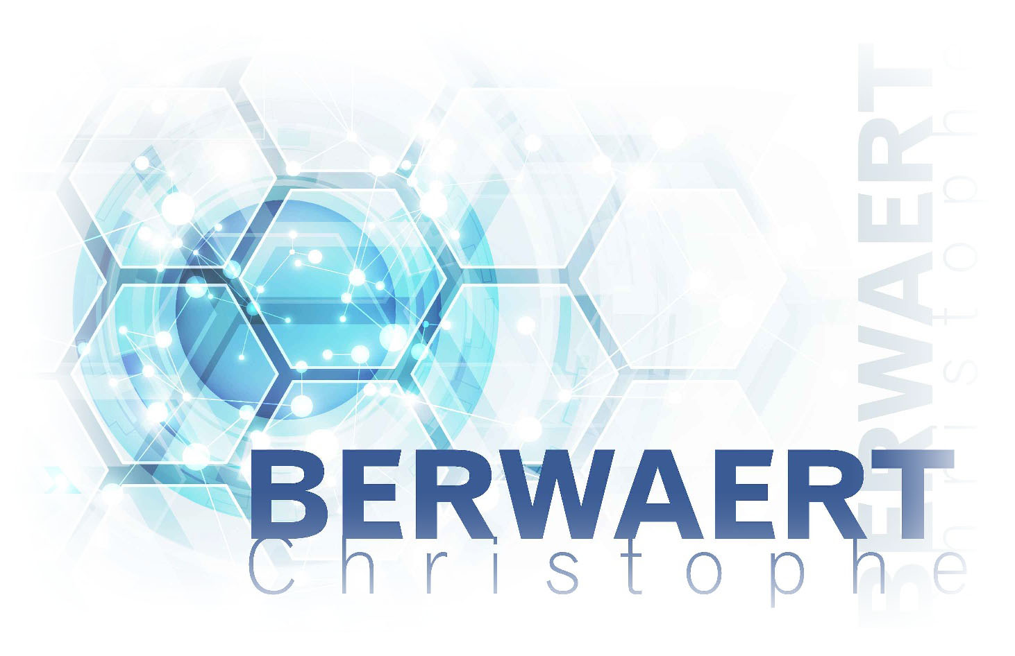 Logo Berwaert